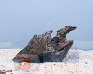 Корч в акваріум №11 Вільха 49х30х37 см