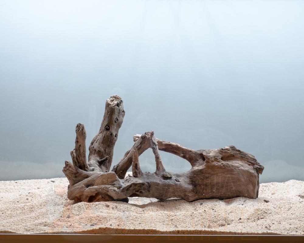 Коряга в аквариум №13 Ольха 32х18х14 см