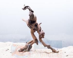 Коряга в аквариум №20 Коралловый корень 31x15x15 см