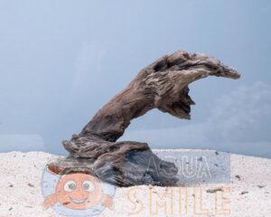 Корч в акваріум №23 Вільха 49х25х27 см