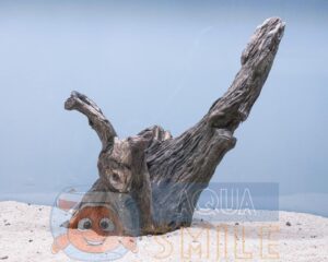 Корч в акваріум №24 Вільха 27х20х15 см