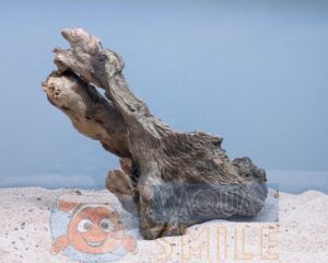 Корч в акваріум №36 Вільха 22х25х16 см