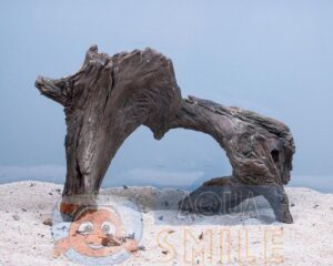 Корч в акваріум №37 Вільха 37х23х23 см