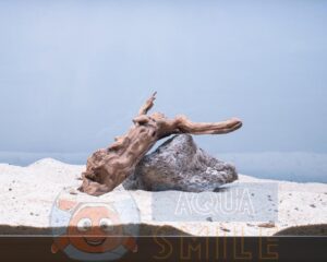Корч в акваріум №20 Кораловий корінь 31x15x15 см