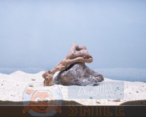 Коряга в аквариум №30 Коралловый корень 32x20x7 см