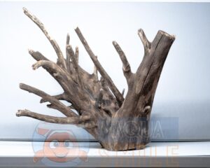 Коряга в аквариум №55 Ольха 50х49х50 см