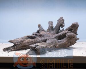 Коряга в аквариум №68 Ольха 44x19x26 см
