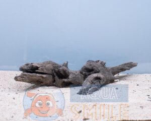 Корч в акваріум №61 Вільха 32х20х17 см