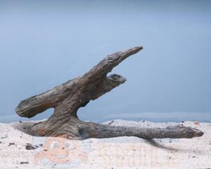 Корч в акваріум №6 Вільха 57х44х51 см