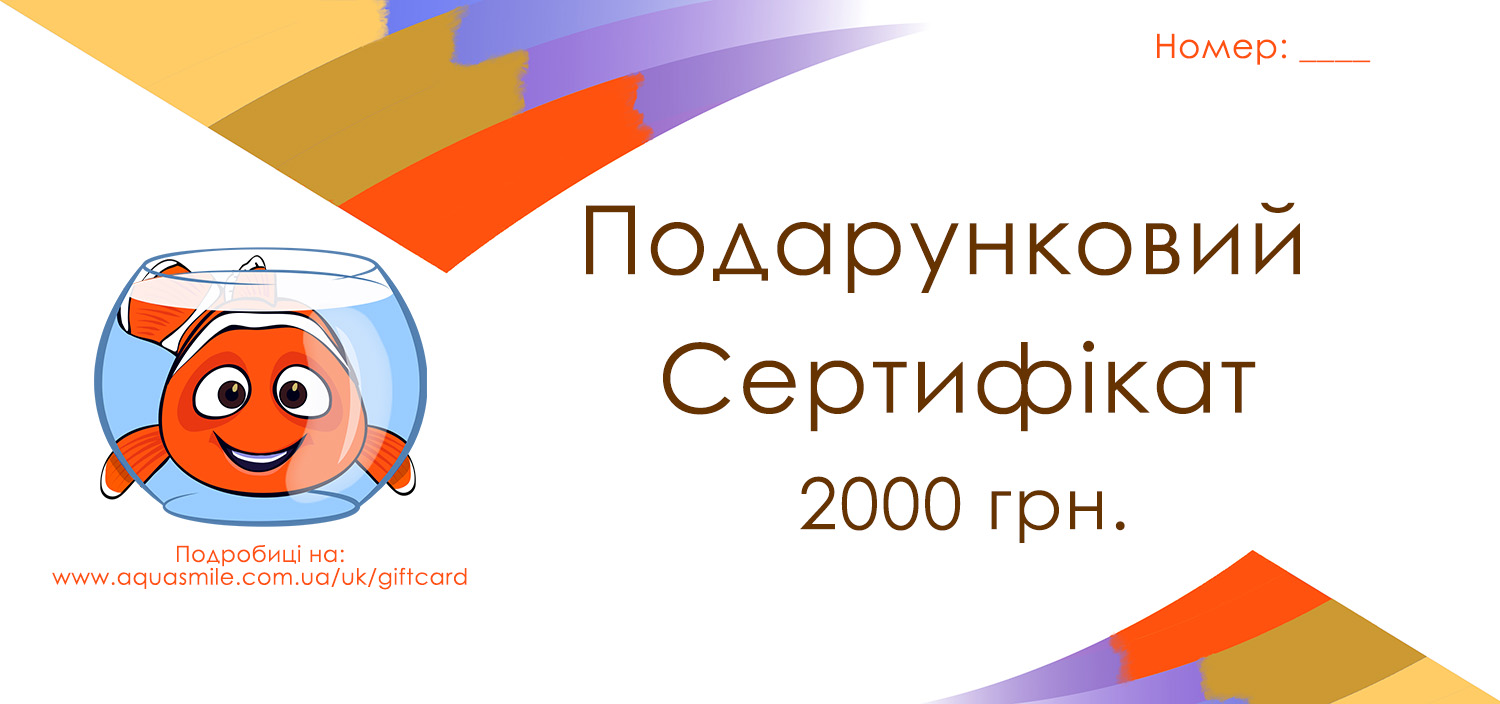 Подарочный сертификат