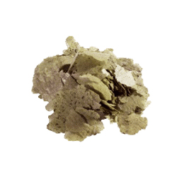 Корм для рыб в хлопьях Aquarium Munster DR. BASSLEER BF FLORA FLAKE 70 г