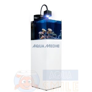 Морський акваріум Aqua Medic Blenny Qube