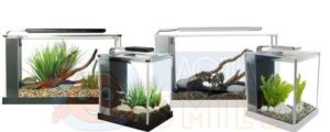 Акваріум HAGEN Fluval Spec 10 л