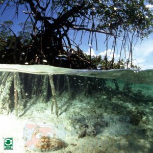 Корч JBL Mangrove M