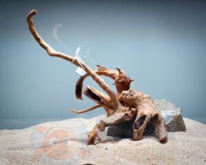 Корч в акваріум корінь наперстянки (бегонії) Trixie M/L до 50 см