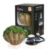 Погружной аэратор с подсветкой и декорацией H2Show WONDER KIT – GREEN CLAM